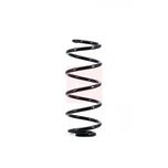Apec Coil Spring Front ACS1653