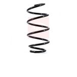 Apec Coil Spring Front ACS1655