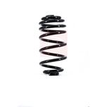 Apec Coil Spring Rear ACS1662