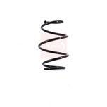 Apec Coil Spring Front ACS1665