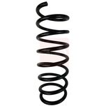 Apec Coil Spring Front ACS1690