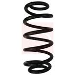 Apec Coil Spring Front ACS1699