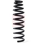 Apec Coil Spring Front ACS1725