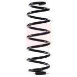 Apec Coil Spring Rear ACS1738