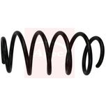 Apec Coil Spring Front ACS1746