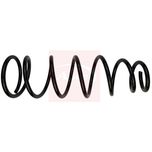 Apec Coil Spring Rear ACS1750