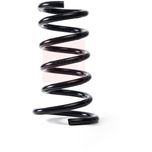 Apec Coil Spring Rear ACS1753
