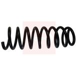 Apec Coil Spring Rear ACS1755