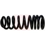 Apec Coil Spring Rear ACS1769