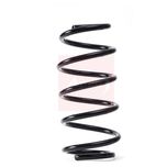 Apec Coil Spring Front ACS1774