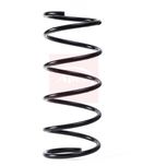Apec Coil Spring Front ACS1780