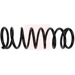 Apec Coil Spring Rear ACS1808