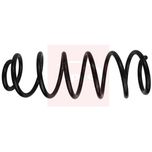 Apec Coil Spring Front ACS1813