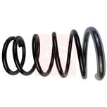 Apec Coil Spring Rear ACS1819