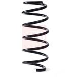 Apec Coil Spring Front ACS1832