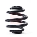Apec Coil Spring Rear ACS1841