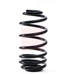 Apec Coil Spring Rear ACS1848