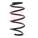 Apec Coil Spring Front ACS1849