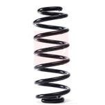 Apec Coil Spring Rear ACS1850