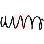 Apec Coil Spring Front ACS1892