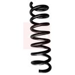 Apec Coil Spring Rear ACS1894