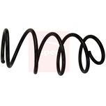 Apec Coil Spring Front ACS1907
