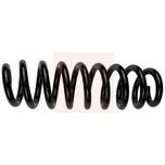 Apec Coil Spring Rear ACS1912