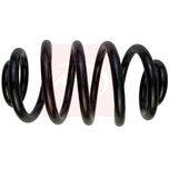 Apec Coil Spring Rear ACS1939