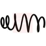 Apec Coil Spring Front ACS1973