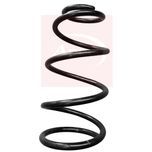 Apec Coil Spring Front ACS1990