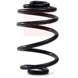 Apec Coil Spring Rear ACS2001