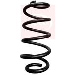 Apec Coil Spring Front ACS2004