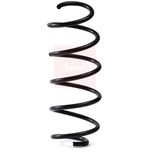 Apec Coil Spring Front ACS2007