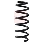 Apec Coil Spring Front ACS2016
