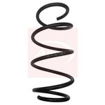 Apec Coil Spring ACS2022
