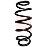 Apec Coil Spring Rear ACS2068