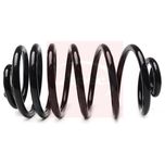 Apec Coil Spring Rear ACS2073
