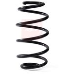 Apec Coil Spring Front ACS2081