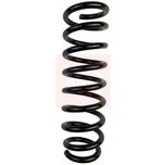 Apec Coil Spring Rear ACS2091