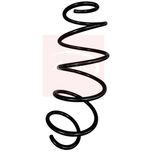 Apec Coil Spring Front ACS2096