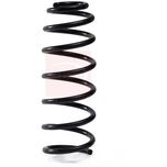 Apec Coil Spring Rear ACS2125