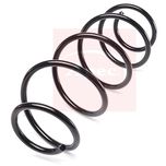 Apec Coil Spring Front ACS2127