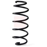 Apec Coil Spring Front ACS2147