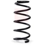 Apec Coil Spring Rear ACS2159