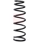 Apec Coil Spring Front ACS2165
