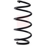 Apec Coil Spring Front ACS2172