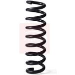 Apec Coil Spring Rear ACS2173