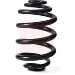 Apec Coil Spring Rear ACS2190