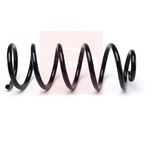 Apec Coil Spring Rear ACS2191