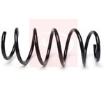 Apec Coil Spring Front ACS2195